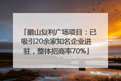 腊山复利广场项目：已吸引20余家知名企业进驻，整体招商率70%