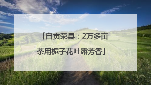 自贡荣县：2万多亩茶用栀子花吐露芳香