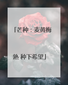 芒种：麦黄梅熟 种下希望