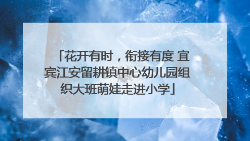花开有时,衔接有度 宜宾江安留耕镇中心幼儿园组织大班萌娃走进小学