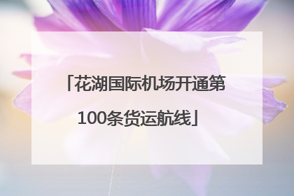 花湖国际机场开通第100条货运航线