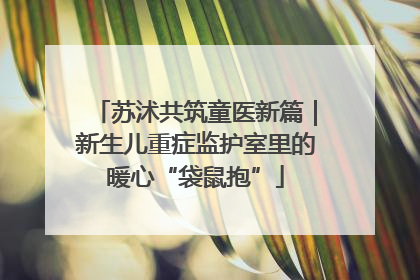 苏沭共筑童医新篇｜新生儿重症监护室里的暖心“袋鼠抱”