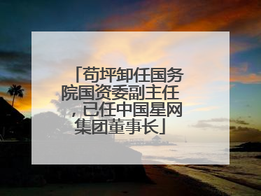 苟坪卸任国务院国资委副主任，已任中国星网集团董事长