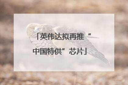 英伟达拟再推“中国特供”芯片