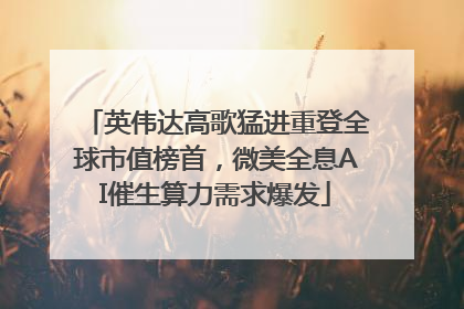 英伟达高歌猛进重登全球市值榜首，微美全息AI催生算力需求爆发