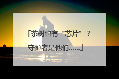 茶树也有“芯片”？守护者是他们……