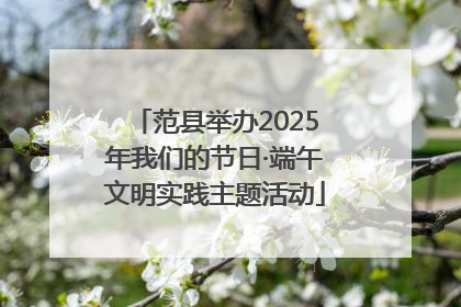 范县举办2025年我们的节日·端午文明实践主题活动