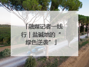 融媒记者一线行｜盐碱地的“绿色逆袭”