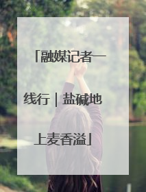 融媒记者一线行｜盐碱地上麦香溢