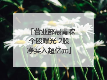 营业部最青睐个股曝光 2股净买入超亿元