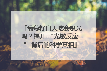 葡萄籽白天吃会吸光吗？揭开 “光敏反应” 背后的科学真相