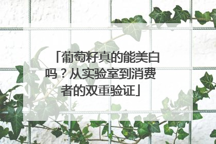葡萄籽真的能美白吗？从实验室到消费者的双重验证