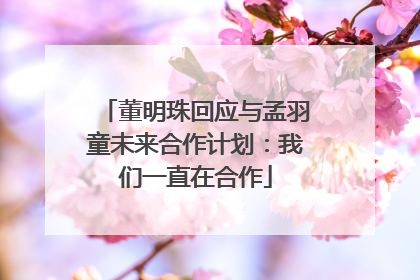 董明珠回应与孟羽童未来合作计划：我们一直在合作
