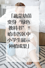 蔬菜幼苗变身“绿色教科书”！哈市各区中小学生展示种植成果