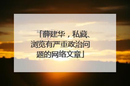 薛建华，私藏、浏览有严重政治问题的网络文章