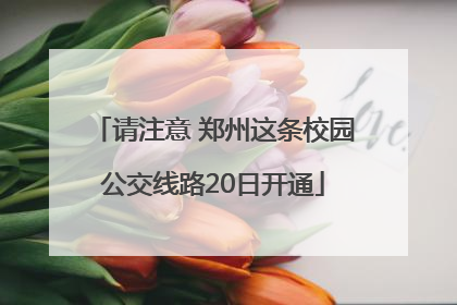 请注意 郑州这条校园公交线路20日开通
