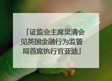 证监会主席吴清会见英国金融行为监管局首席执行官亚迪