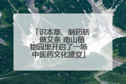 识本草、制药膳、做艾条 南山植物园里开启了一场中医药文化盛宴