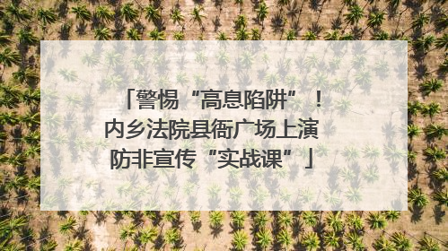 警惕“高息陷阱”！内乡法院县衙广场上演防非宣传“实战课”