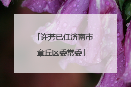 许芳已任济南市章丘区委常委