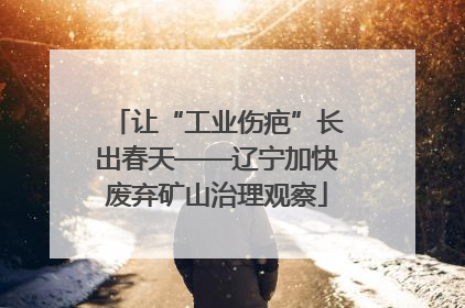让“工业伤疤”长出春天——辽宁加快废弃矿山治理观察