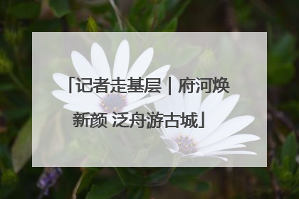 记者走基层｜府河焕新颜 泛舟游古城