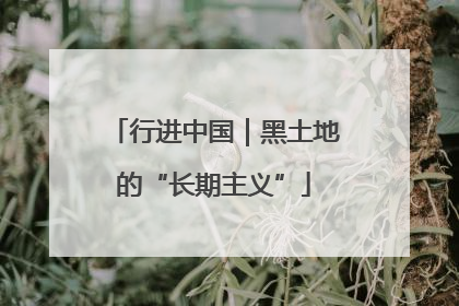 行进中国｜黑土地的“长期主义”