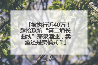 被执行近40万！肆拾玖坊“第二增长曲线”茅泉酒业，卖酒还是卖模式？