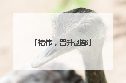 褚伟，晋升副部