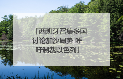 西班牙召集多国讨论加沙局势 呼吁制裁以色列