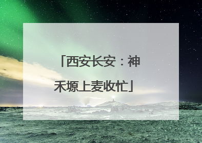 西安长安：神禾塬上麦收忙