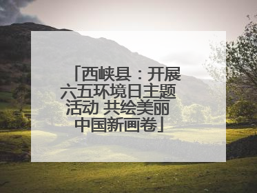西峡县：开展六五环境日主题活动 共绘美丽中国新画卷