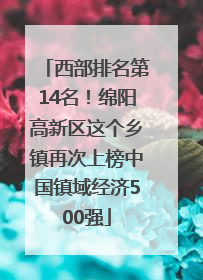 西部排名第14名！绵阳高新区这个乡镇再次上榜中国镇域经济500强