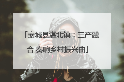 襄城县湛北镇：三产融合 奏响乡村振兴曲