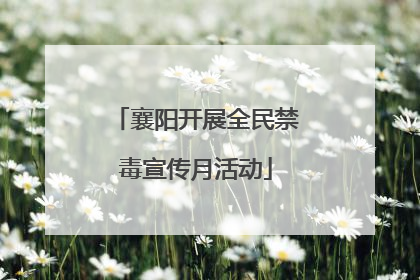 襄阳开展全民禁毒宣传月活动