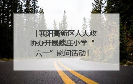 襄阳高新区人大政协办开展魏庄小学“六一”慰问活动