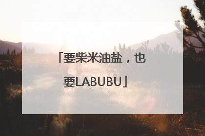 要柴米油盐，也要LABUBU