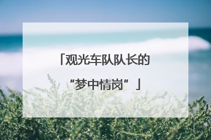 观光车队队长的“梦中情岗”