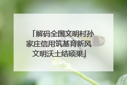 解码全国文明村孙家庄信用筑基育新风文明沃土结硕果