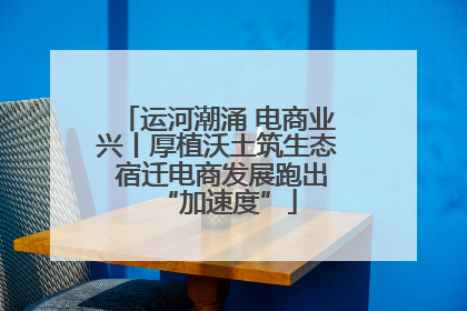 运河潮涌 电商业兴丨厚植沃土筑生态 宿迁电商发展跑出“加速度”
