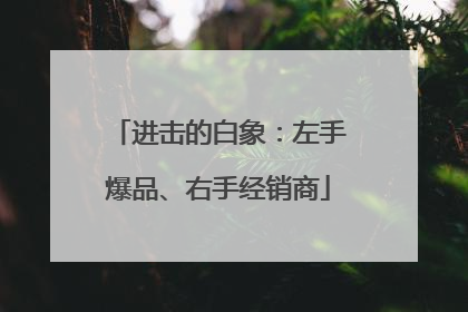 进击的白象：左手爆品、右手经销商