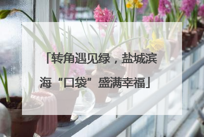 转角遇见绿，盐城滨海“口袋”盛满幸福