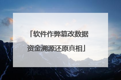 软件作弊篡改数据 资金溯源还原真相