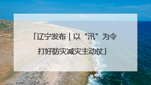 辽宁发布｜以“汛”为令 打好防灾减灾主动仗