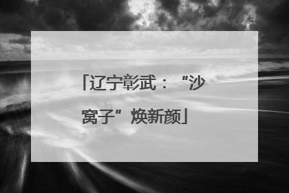 辽宁彰武：“沙窝子”焕新颜