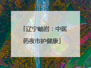 辽宁岫岩：中医药夜市护健康