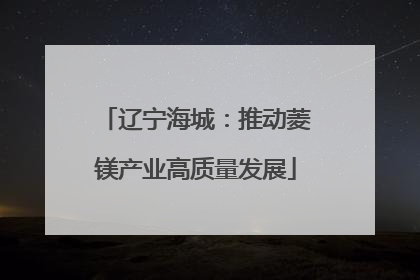辽宁海城：推动菱镁产业高质量发展