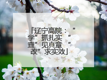 辽宁高院：“学”抓扎实 “查”见真章 “改”求实效