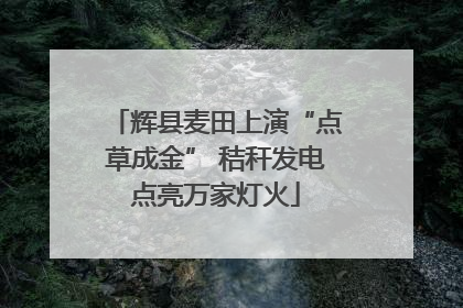 辉县麦田上演“点草成金” 秸秆发电点亮万家灯火