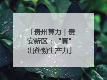 贵州算力｜贵安新区：“算”出蓬勃生产力